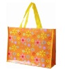 PP Woven Shopping Bag