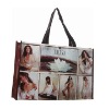 PP Woven Shopping Bag