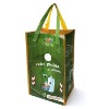 PP Woven Shopping Bag