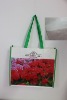 PP Woven Shopping Bag