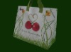 PP Woven Shopping Bag