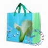 PP Woven Supermarket Shopper Bags