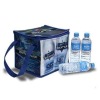 PP Woven laminated cooler bag for  bottles