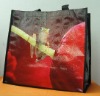 PP Woven shopping Bag