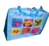 PP color shopping promotional bag