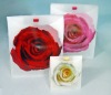 PP gift bag