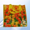 PP grow bali woven ikea promotional bag(Gre-042310)