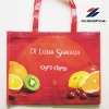 PP laminated non woven shopping bag