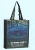 PP laminated promotional bag(DFY-W022)