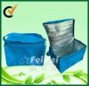 PP non woven 6 bottle cooler bag with aluminum foil lining