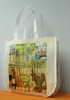 PP non woven Gift Bag