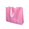 PP non woven bag