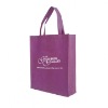 PP non woven bag for promotional