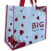 PP non woven bag ,promotion bag ,green bag