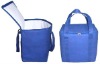 PP non woven cooler bag