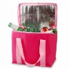 PP non woven cooler bag