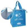 PP non woven cooler bag (BF-CO-031)