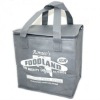 PP non-woven cooler bag for food