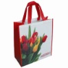 PP non-woven foldable tote bag with matte lamination