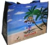 PP non woven shopping bag