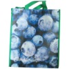 PP nonwoven eco bag