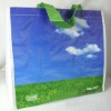 PP nonwoven eco shopping bag