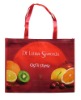 PP nonwoven shopping bag with logo