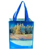 PP nonwoven shopping eco bag