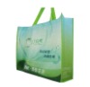 PP nonwoven shopping promotional bag