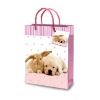 PP rope gift paper bag