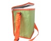 PP woven Cooler Bag