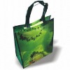 PP woven laminated bag