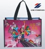 PP woven laminated bag