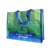 PP woven matt laminated shopping bag for TESCO