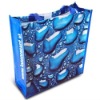 PP woven promotion bag