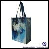 PP woven promotional shopping bag