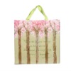 PP woven shopping bag    2011 fashion shopping   bag