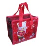 PP woven shopping bag