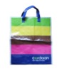 PP woven shopping bag