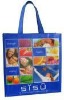 PP woven shopping bag