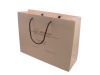 PSBSL3301 nice paper shopping bag