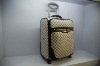 PU luggage