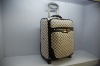 PU luggage