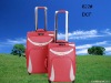 PU luggage