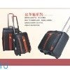 PU luggage