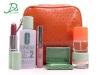 PVC fashion dressing case