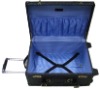 PVC trolley luggage case