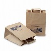 Paper Bag bs 00245