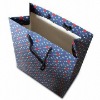 Paper Bag bs-00246