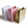 Paper Bag bs-00256